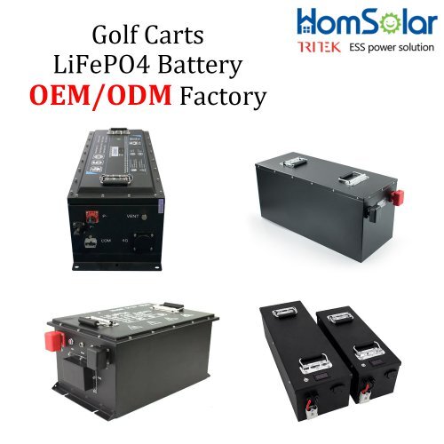 12V Golf Buggy Battery, 48 volt Golf Cart Battery OEM/ODM/customised